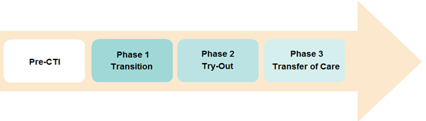 CTI phases